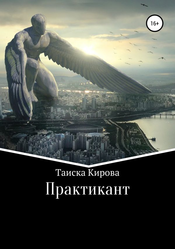 Обложка книги «Практикант»