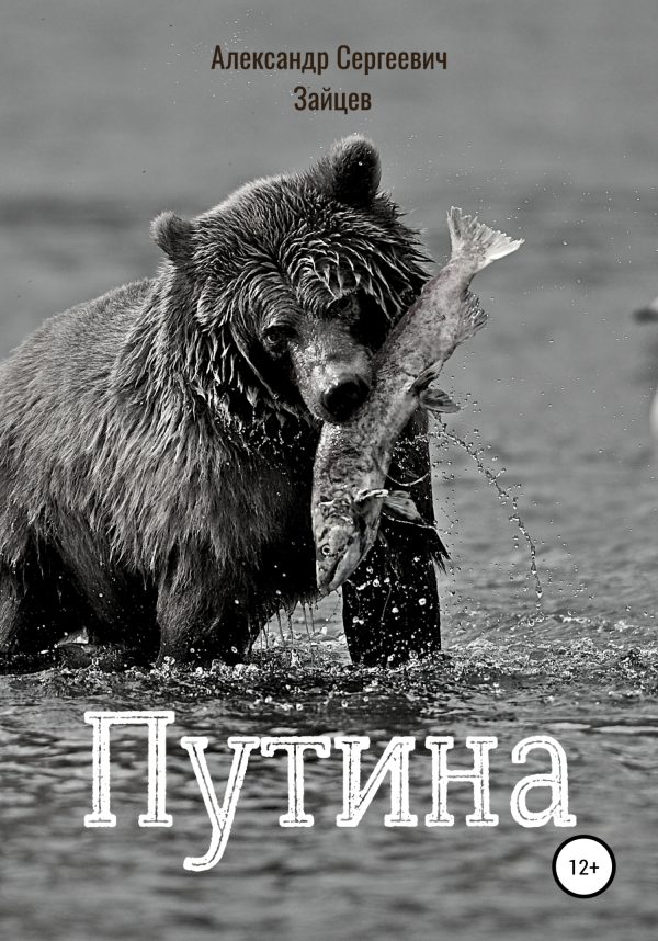 Обложка книги «Путина»