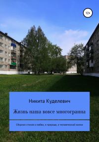 Обложка книги «Жизнь наша вовсе многогранна»