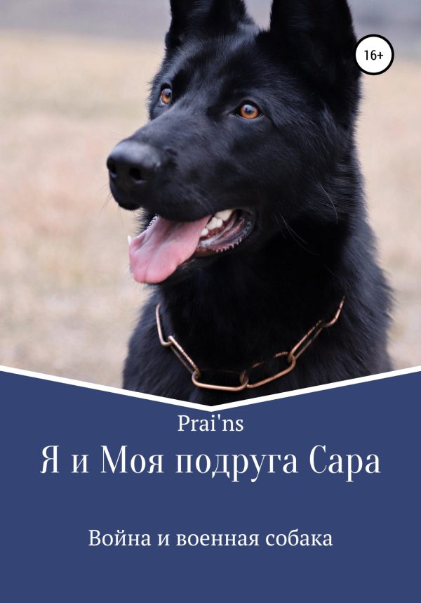 Обложка книги «Я и Моя подруга Сара»