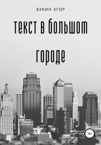 Обложка книги «Текст в большом городе»