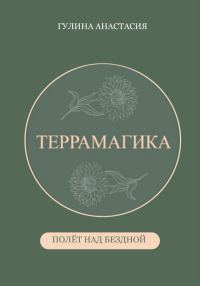 Обложка книги «Террамагика. Полёт над бездной»
