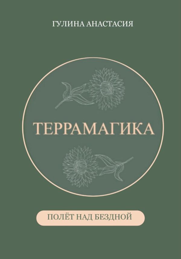 Обложка книги «Террамагика. Полёт над бездной»