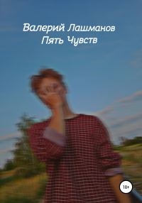 Обложка книги «Пять Чувств»