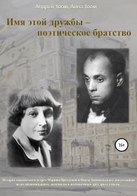 Обложка книги «Имя этой дружбы – поэтическое братство»