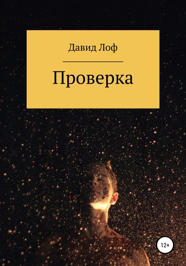 Обложка книги «Проверка»