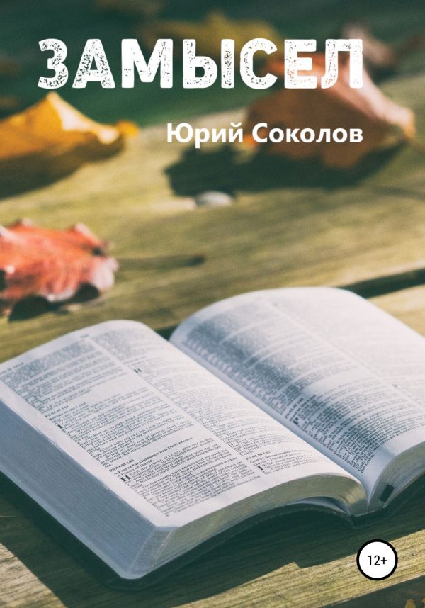 Обложка книги «Замысел»