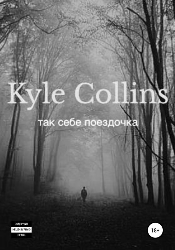 Обложка книги «Так себе поездочка»