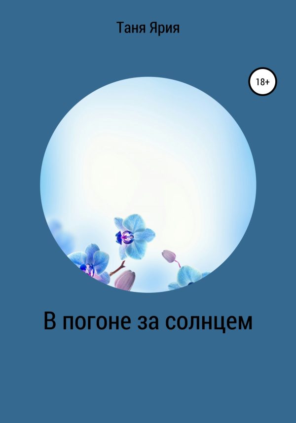 Обложка книги «В погоне за солнцем»