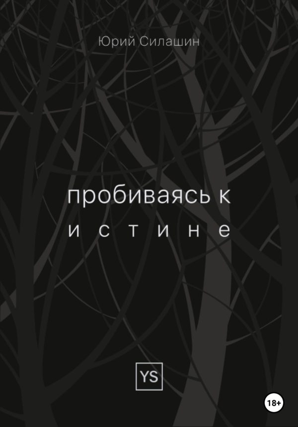 Обложка книги «Пробиваясь к истине»