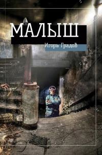 Обложка книги «Малыш»