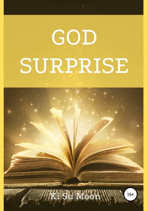 Обложка книги «God Surprise»