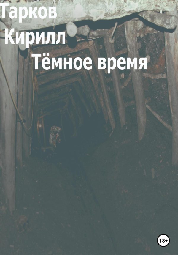 Обложка книги «Тёмное время»