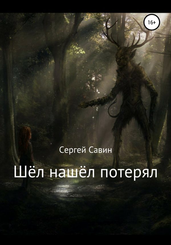 Обложка книги «Шёл нашёл потерял»