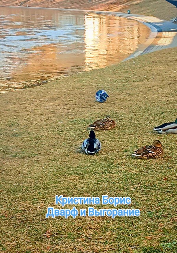 Обложка книги «Дварф и выгорание»