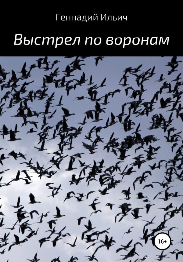 Обложка книги «Выстрел по воронам»