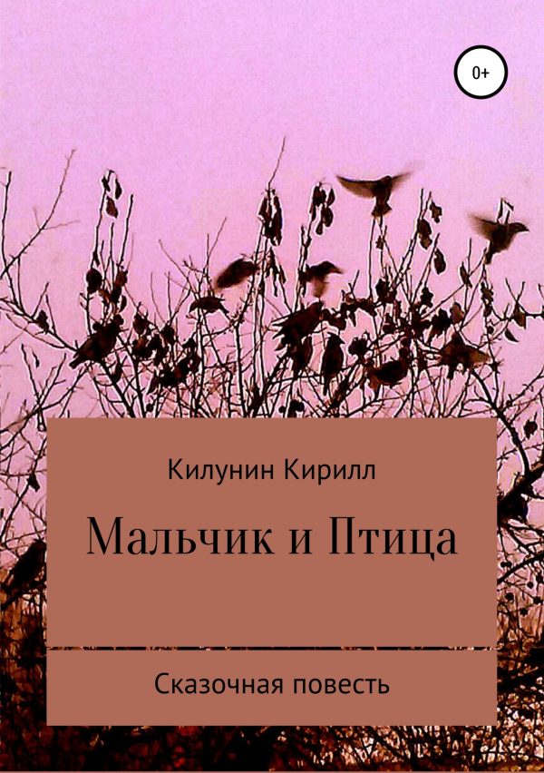 Обложка книги «Мальчик и Птица»