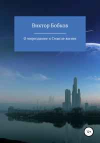 Обложка книги «О мироздание и Смысле жизни»