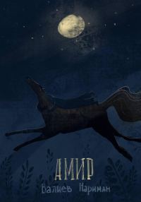 Обложка книги «Амир»