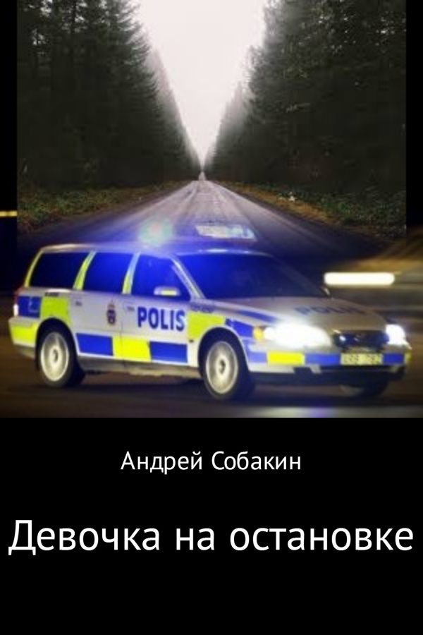 Обложка книги «Девочка на остановке»