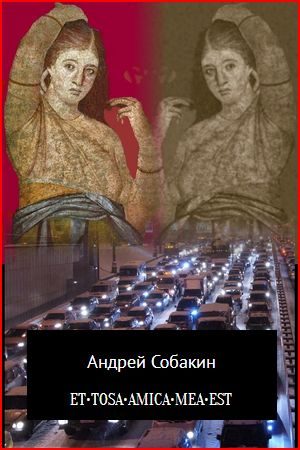 Обложка книги «ET•TOSA•AMICA•MEA•EST»