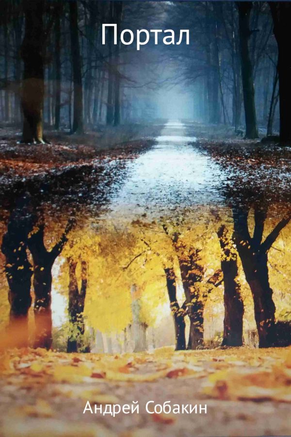 Обложка книги «Портал»