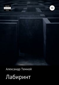 Обложка книги «Лабиринт»