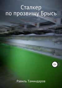 Обложка книги «Сталкер по прозвищу Брысь»