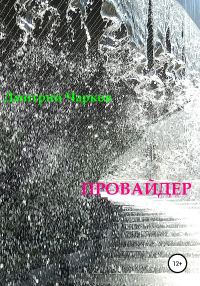 Обложка книги «Провайдер»