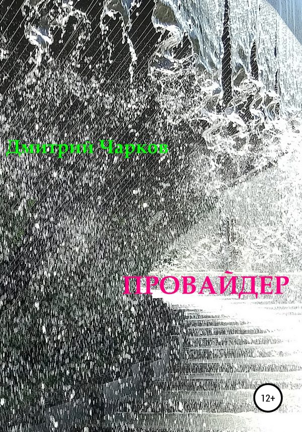 Обложка книги «Провайдер»