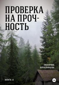 Обложка книги «Проверка на прочность»