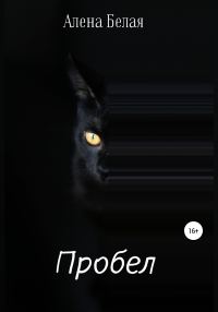 Обложка книги «Пробел»