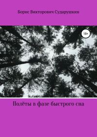 Обложка книги «Полёты в фазе быстрого сна»