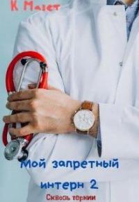 Обложка книги «Мой запретный интерн. Сквозь тернии»