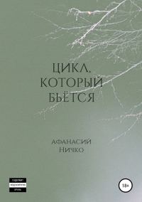 Обложка книги «Цикл, который бьётся»