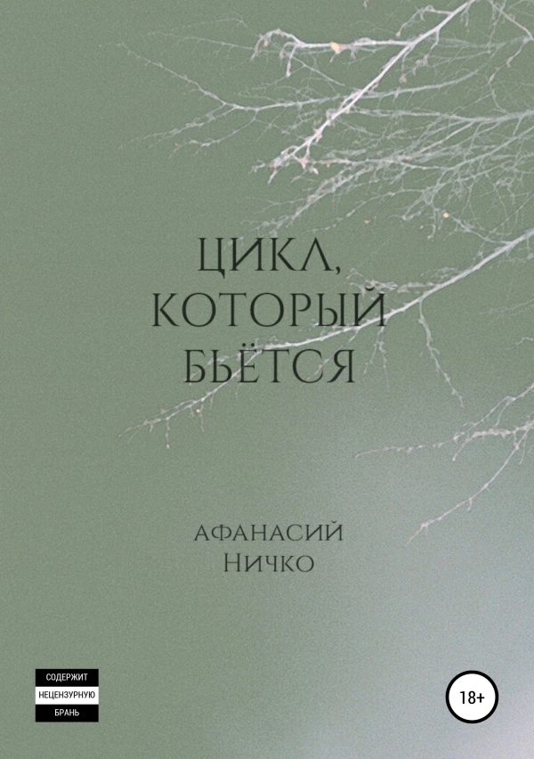 Обложка книги «Цикл, который бьётся»