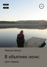Обложка книги «В объятиях ночи: урок первый»