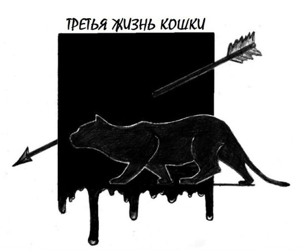 Обложка книги «Третья жизнь кошки»