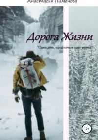 Обложка книги «Дорога Жизни»