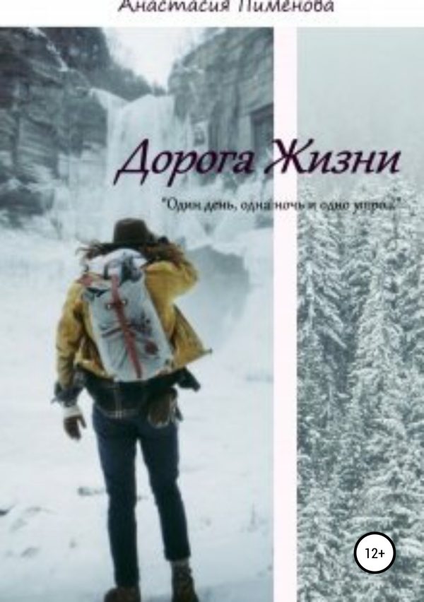 Обложка книги «Дорога Жизни»
