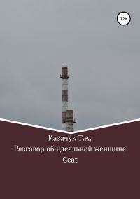 Обложка книги «Разговор об идеальной женщине»