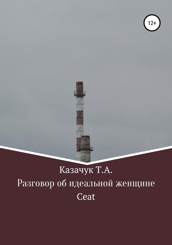 Обложка книги «Разговор об идеальной женщине»