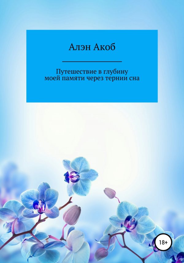 Обложка книги «Путешествие в глубину моей памяти через тернии сна»