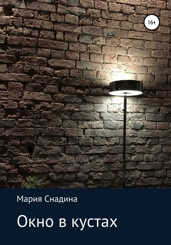 Обложка книги «Окно в кустах»