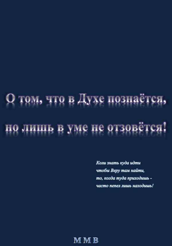 Обложка книги «О том, что в Духе познаётся, но лишь в уме не отзовётся»