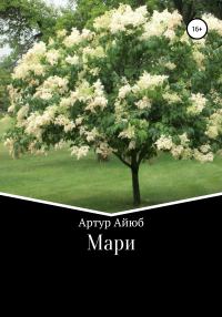 Обложка книги «Мари»