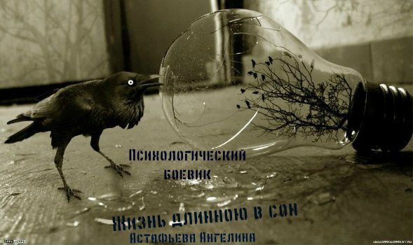 Обложка книги «Жизнь длинною в сон. Социопат»