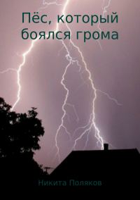 Обложка книги «Пёс, который боялся грома»