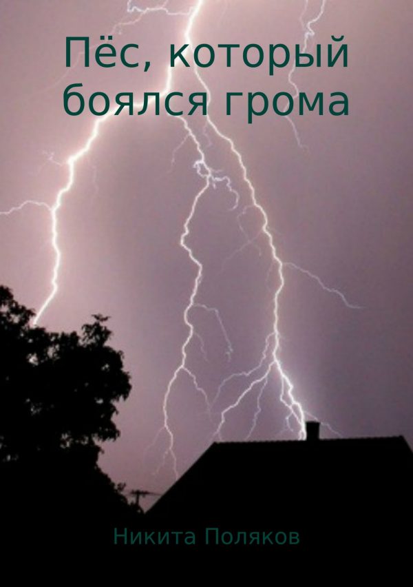 Обложка книги «Пёс, который боялся грома»