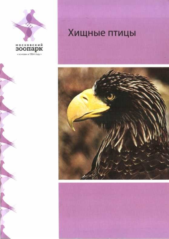 Обложка книги «Хищные птицы»